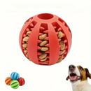 Bolinha Interativa para Cães - SnackBall®