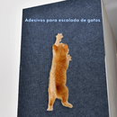 Tapete Arranhador para Gatos - Miau Claw Rug®