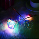 Rosa Eterna Encantada  I ♡ You® - Presente Namorados