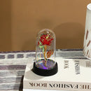 Rosa Brilhante com Cúpula Romântica Presente Namorados - Magic Rose®