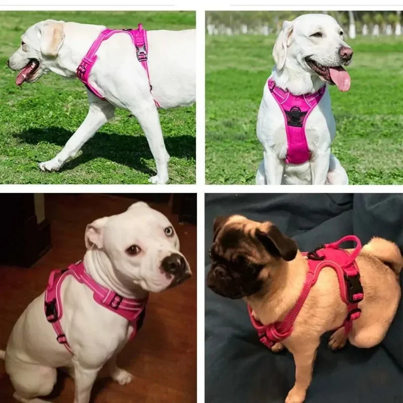 Peitoral Guia Refletiva para Pets - Track Leash®