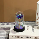 Rosa Brilhante com Cúpula Romântica Presente Namorados - Magic Rose®