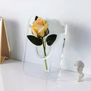 Vaso para Flor Decorativo - FloraFrame®