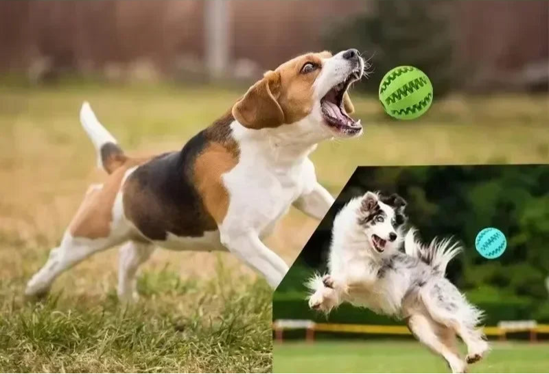 Bolinha Interativa para Cães - SnackBall®